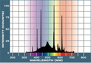 50/50 Spectral Graph