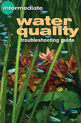 Remedy Common Aquarium Problems: Water Quality Troubleshooting Guide
