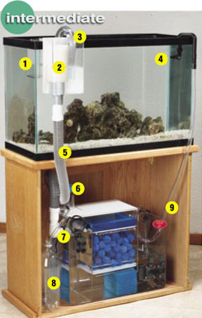 fish tank filter. Aquarium Filter Set-up: How to