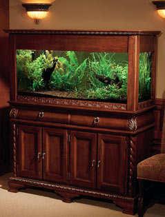 Wood Fish Tank Stands