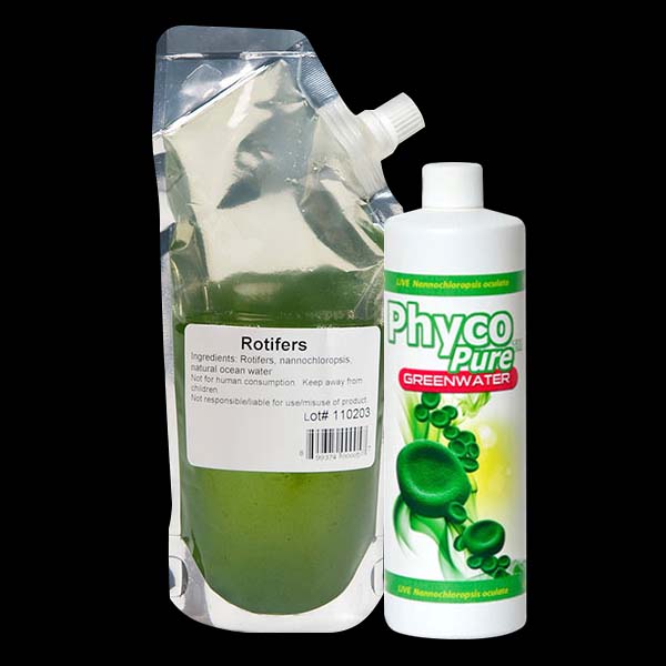 Rotifer Grow Kit Rotifer Grow Kit