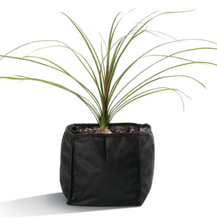 Laguna Planting Bags Laguna Planting Bags