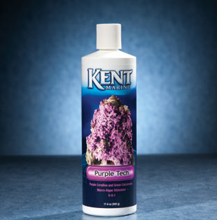 Kent Marine Purple Tech Kent Marine Purple Tech