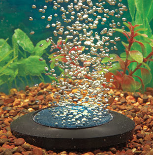 Elite Bubble Disk Elite Bubble Disk