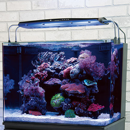 liveaquaria approved aquatic supplies