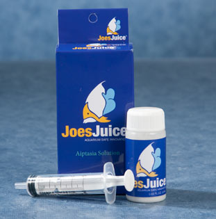 Joe's Juice Aiptasia Solution Joe's Juice Aiptasia Solution