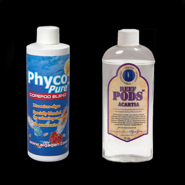 Copepod Grow Kit
