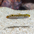 Hector's Goby (click for more detail)