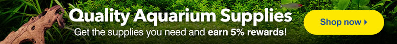 Quality Aquarium Supplies