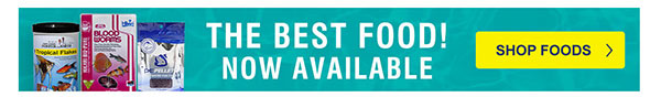 Shop Food at LiveAquaria.com Shop Food at LiveAquaria.com