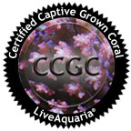 Certified Captive Grown Coral