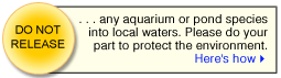Do not release plants into local waters. Learn more here