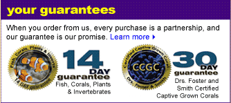 Your Guarantees
