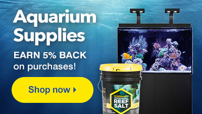 Earn 5% Back on Aquarium Supply Purchases