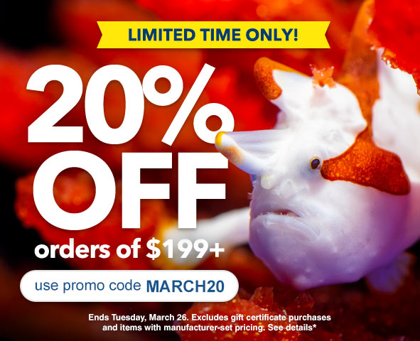 Save Now