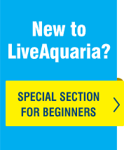 New to LiveAquaria? - Special Section for Beginners