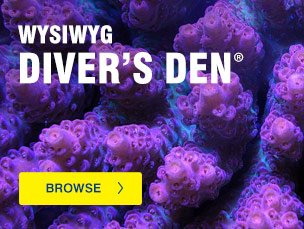 Liveaquaria coupon code