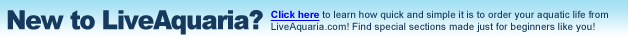 New to LiveAquaria? Click here to discover how simple it is to order your aquatic life online with us!