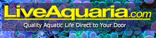 LiveAquaria.com - Quality Aquatic Life Direct To Your Door.