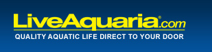 LiveAquaria.com - Quality Aquatic Life Direct To Your Door.