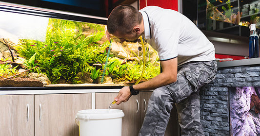 Fishkeeping Myth Busters