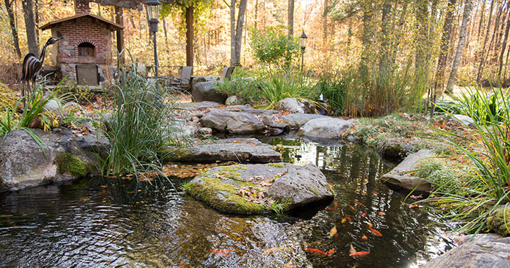 Fall and Winter-Feeding Tips for Pond Fish