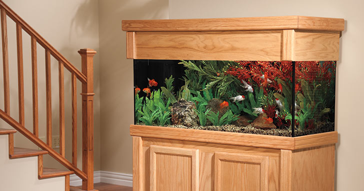 Aquarium Stands and Canopies