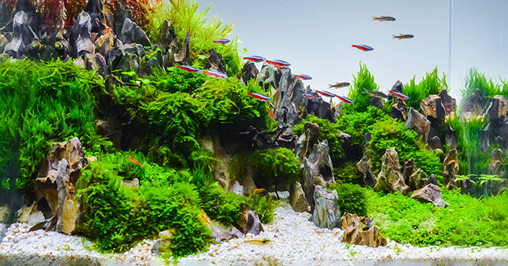 UV Sterilization Selection Guide