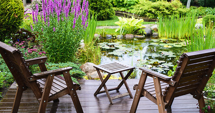 Enhance Pond Filtration with a Bog Filter