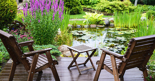 Enhance Pond Filtration with a Bog Filter