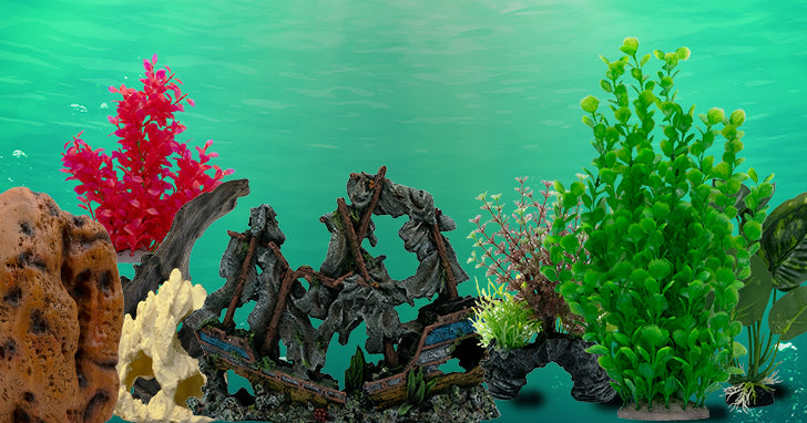 Using Décor to Enhance Your Freshwater Aquarium