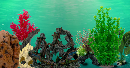 Using Décor to Enhance Your Freshwater Aquarium