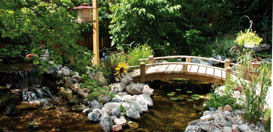 Responsible Pond-Keeping