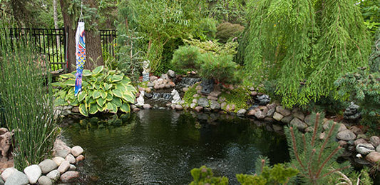 Creating Natural Pondscapes