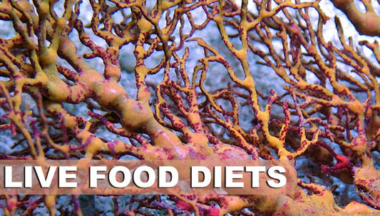 Adding Some Life to Your Inhabitants' Diet