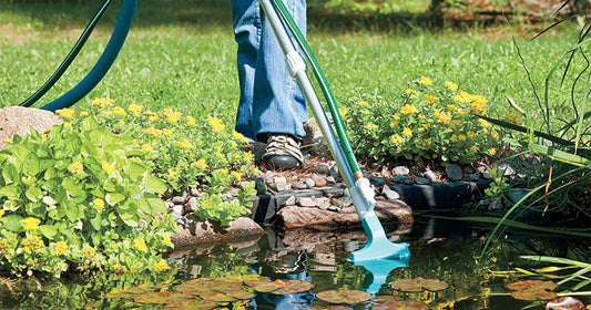 Spring Cleaning Secrets to a Successful Pond Season