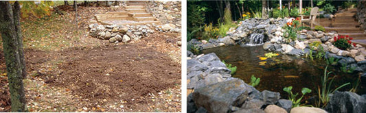 Fall Tips for New Ponds & Water Gardens
