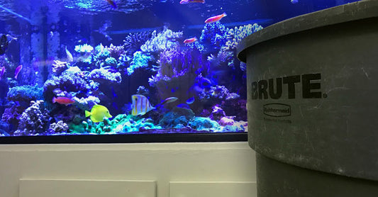 Creating a Saltwater Mixing Container