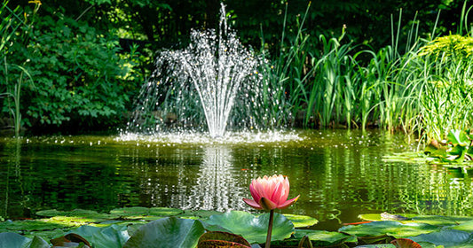 Pond Pumps with Fountain Features