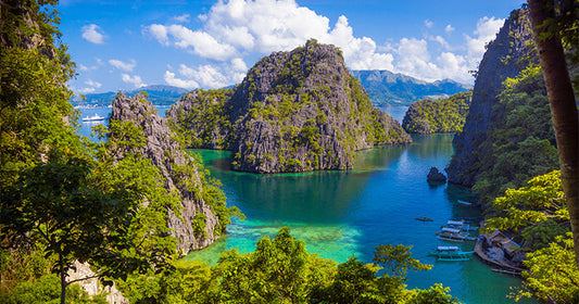 Fish From Around the World: Spotlight on Philippines