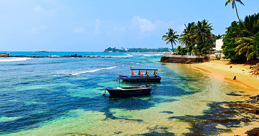 Fish From Around the World: Spotlight on Sri Lanka