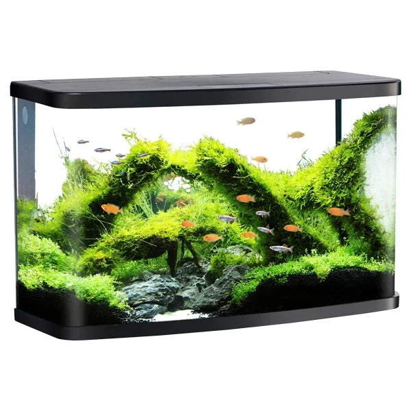 Aquariums