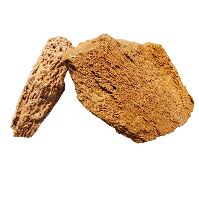 Burma Petrified Stone Kit