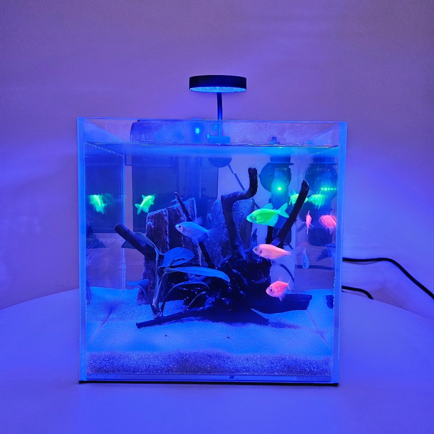Lifegard® 2.5" Blue Spectrum Clip-On USB LED Light w/In-Line Controller