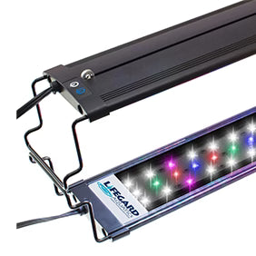 Lifegard® Full Spectrum LED Light