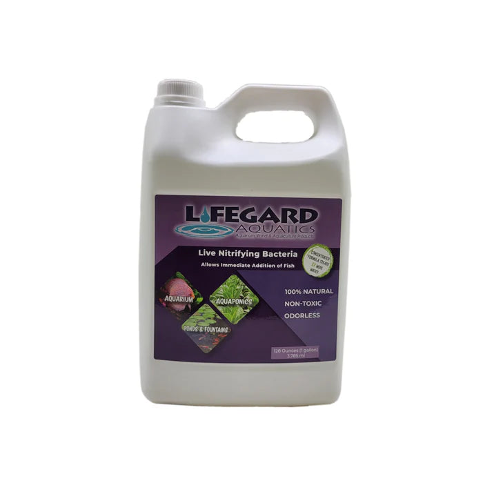 Lifegard Live Nitrifying Bacteria