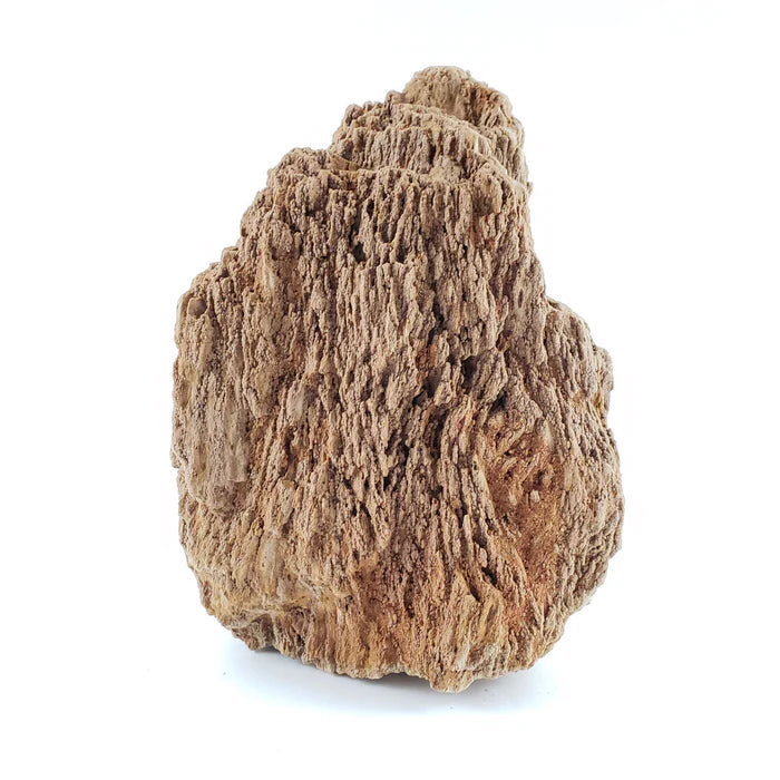 Burma Petrified Stone Kit