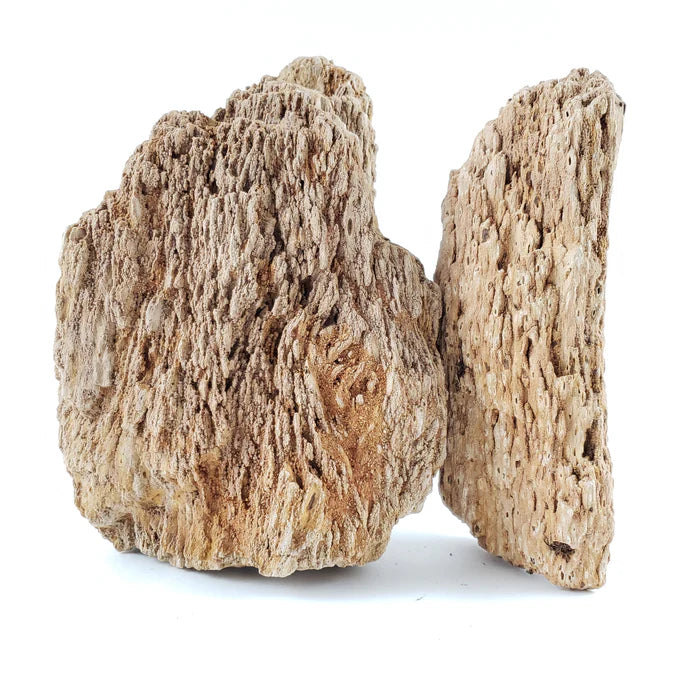 Burma Petrified Stone Kit