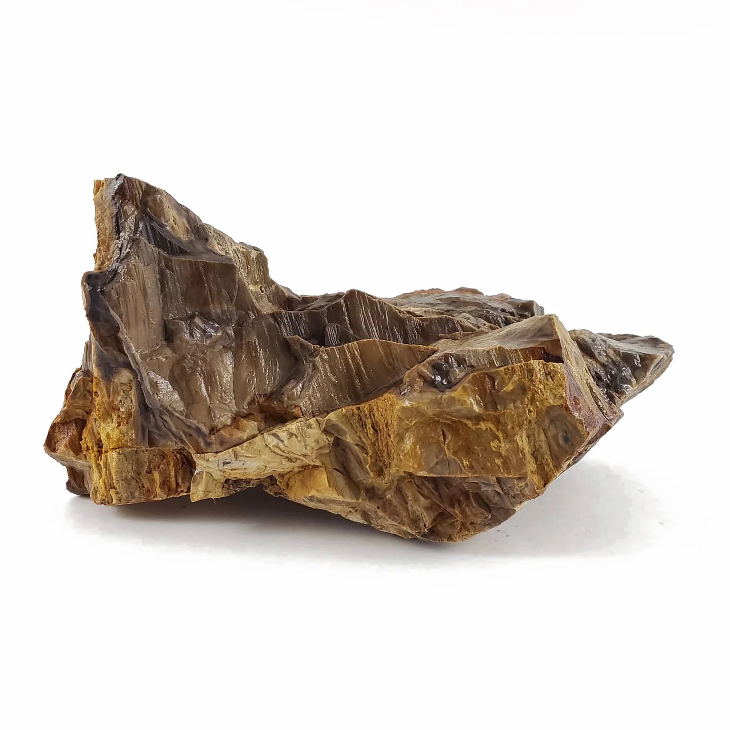 Canyon Petrified Stone Kit