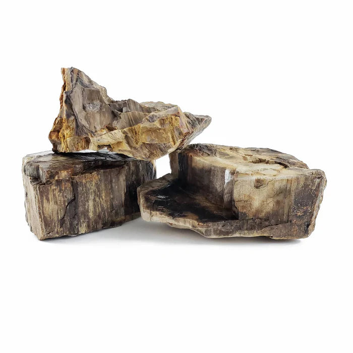 Canyon Petrified Stone Kit